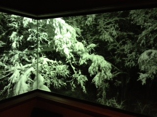 窓から雪景色.JPG